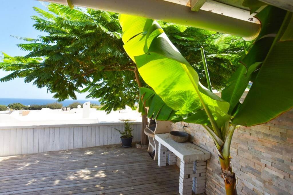 Book Jet - Costa Calma Blue Ocean Dream Terrace Apartment Bagian luar foto
